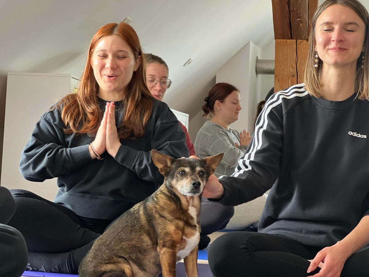 Om Yoga Center Διαμέρισμα Slovenska Bistrica Εξωτερικό φωτογραφία